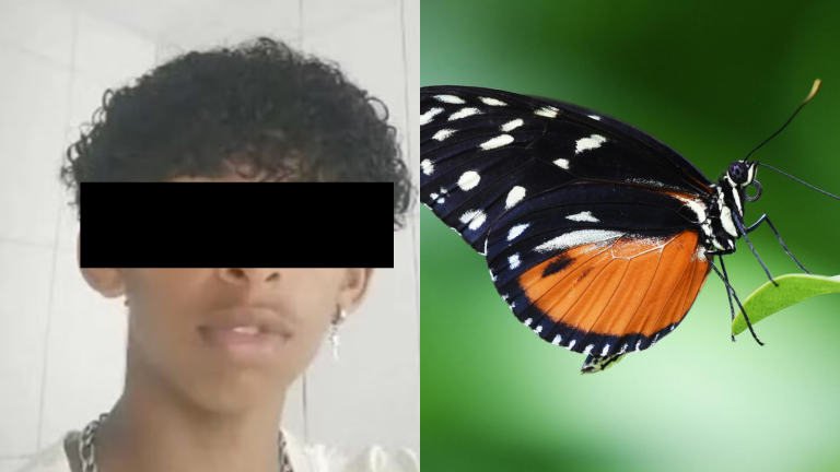 Adolescente muere tras inyectarse en su pierna una mariposa que aplastó