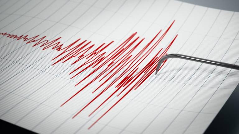 Sismo de magnitud 3,7 sacude a Zamora Chinchipe y otras zonas de la Amazonía ecuatoriana