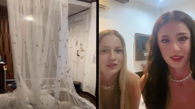 VIDEO | Una serpiente asesina y como dos mil polillas: La pesadilla que vivieron unas turistas británicas al regresar a su cuarto de hotel en Tailandia