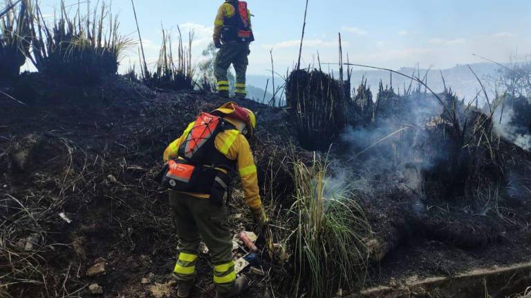 Labores del Cuerpo de Bomberos de Quito para controlar incendios.