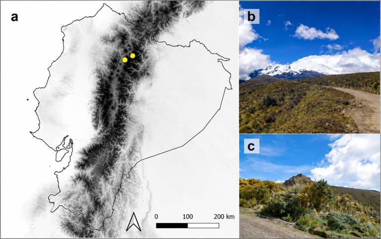 $!Foto del mapa de distribución y hábitat de Lebia urkumanta, nuevo escarabajo descubierto.