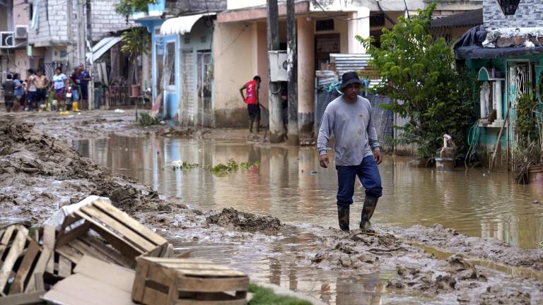 Fenómeno de El Niño: ¿cómo afectará a cada región de Ecuador?