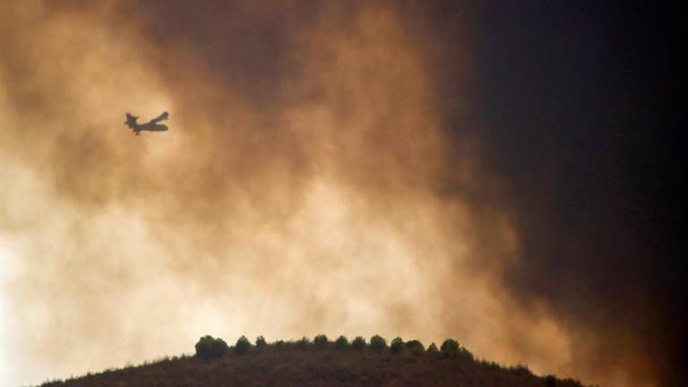 WWF advierte que incendios forestales de 2020 podrían ser peores que en 2019