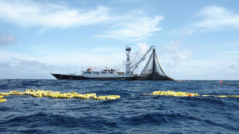 Sector pesquero rechaza nueva iniciativa para ampliar reserva de Galápagos