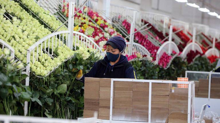 Ecuador quiere impulsar acuerdo de alcance parcial con República Dominicana