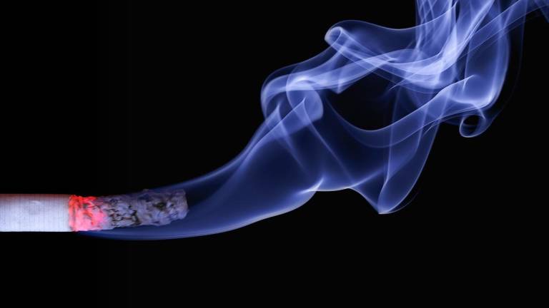 8 de cada 10 cigarrillos comercializados y consumidos en Ecuador son ilegales, según estudio