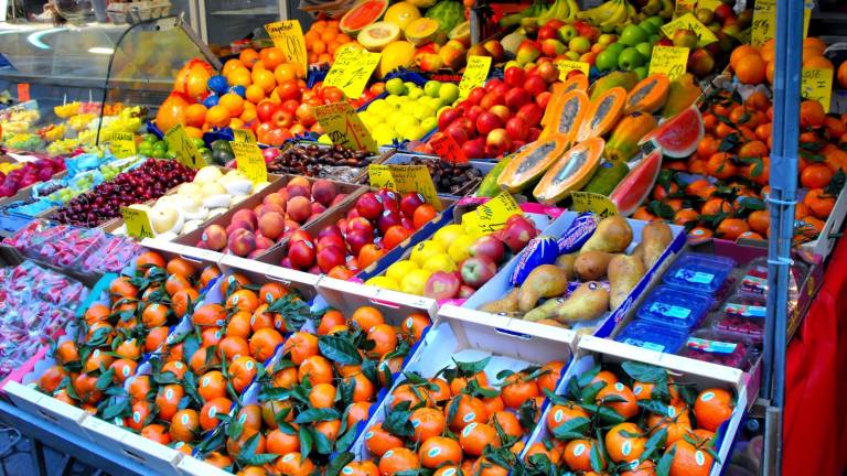 Ecuador y FAO renuevan prioridades para seguridad alimentaria