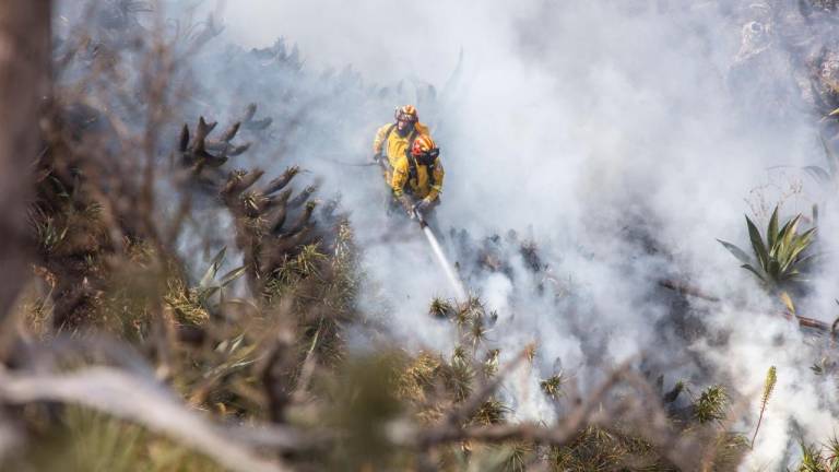Bomberos de siete provincias luchan para apagar incendio en cerro Casitagua