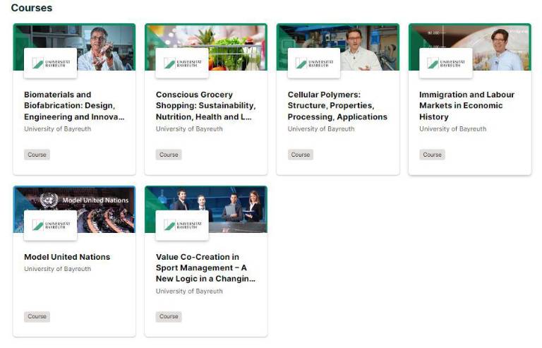 $!La Universidad de Bayreuth tiene cursos en línea gratuitos: Así puedes registrarte en la reconocida institución