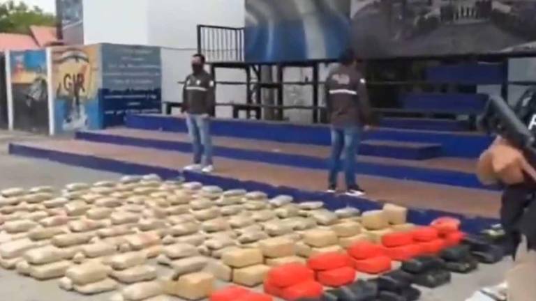 Decomisan en Ecuador 378 kilos de marihuana que iban a ser enviados a Chile