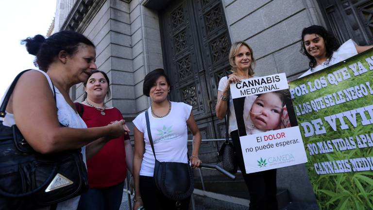 Entre aplausos y llantos, Argentina aprueba uso medicinal del cannabis