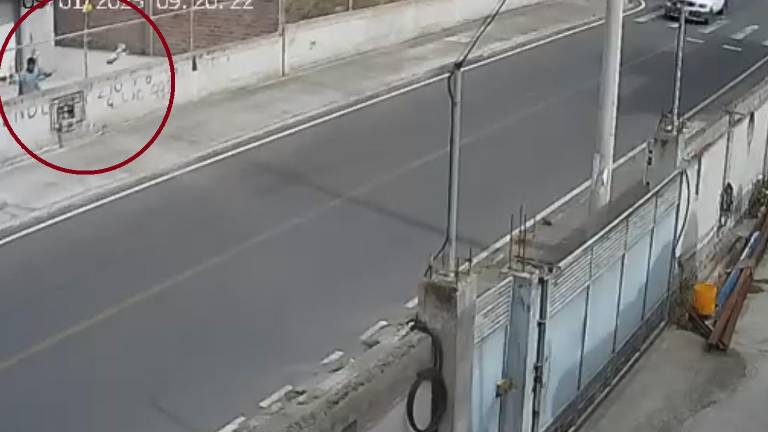 Maltrato animal en Ambato: hombre mata brutalmente a una cachorra tras lanzarla a la vía