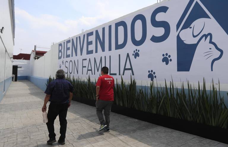 $!México inaugura su primer hotel para perros y gatos sin hogar