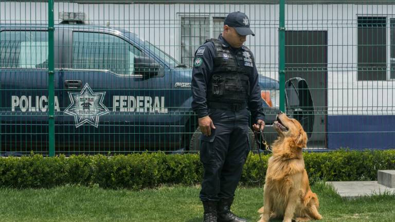 La unidad canina que da protección en las cárceles mexicanas