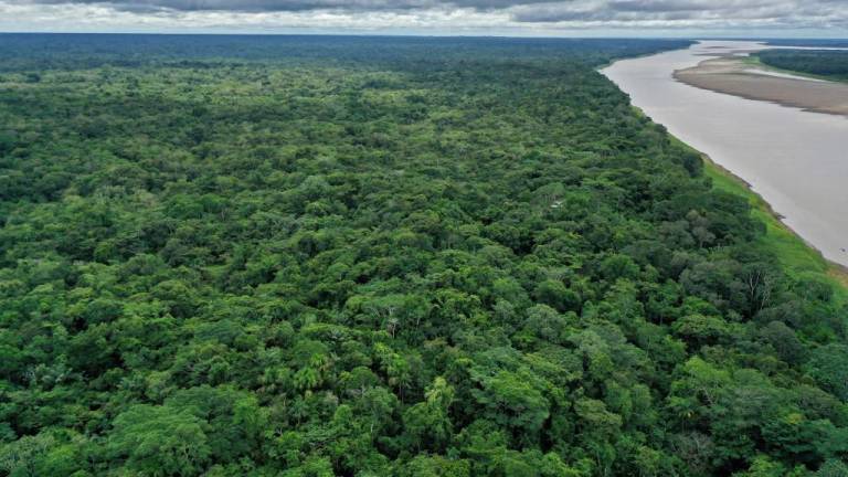 Piden a Ecuador y Perú liderar Plan biorregional para frenar la destrucción de la Amazonía