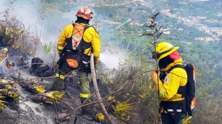 Liquidado un incendio forestal en sector de Perucho, según Bomberos de Quito