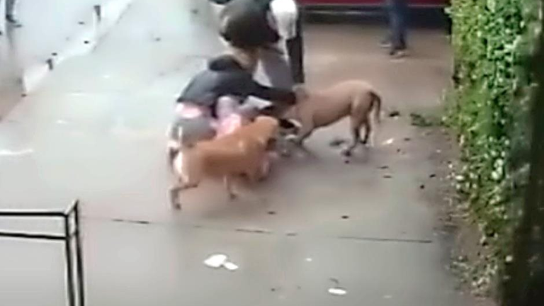 El terrible momento en que una madre se enfrenta a un pitbull que atacaba brutalmente a su hija de 7 años