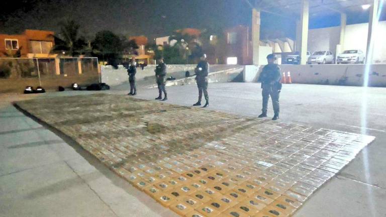La Policía Nacional difundió las imágenes de los cargamentos de cocaína que pretendían ser transportados por un puerto de Guayaquil.