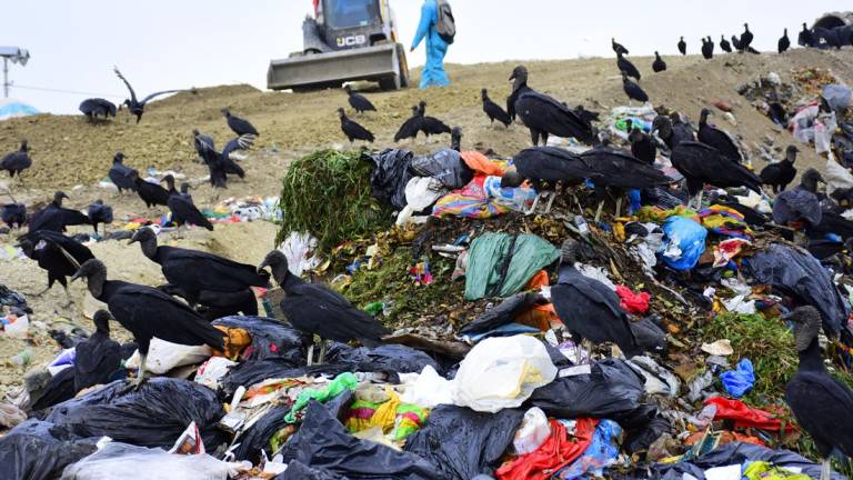 Organismos consolidan alianza para manejo sustentable de basura en Ecuador