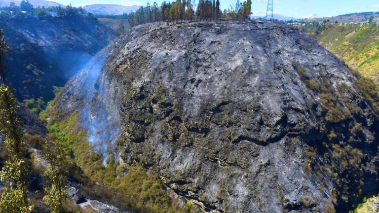 Incendios forestales siguen activos en Quito: alcalde Pabel Muñoz dice que hay focos en zonas de difícil acceso