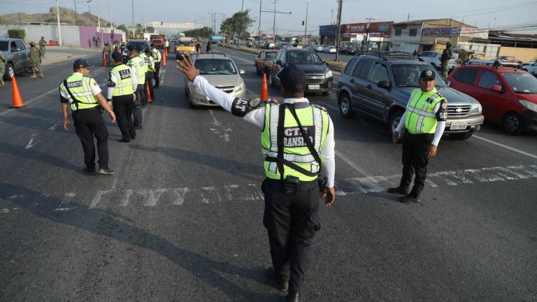 ¿Pueden multarte por llevar a tu mascota suelta en el auto? Esto dice la ley en Ecuador