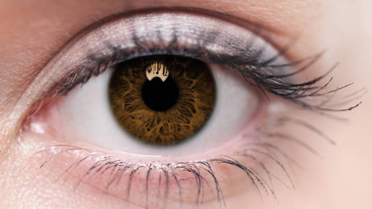 Enfermedades oculares raras: ¿Cuáles son y cómo puedes tratarlas?
