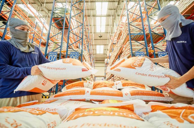 $!Gran parte del balanceado que se produce en Ecuador se comercializa localmente.