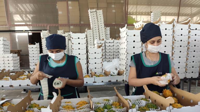 Ecuador quiere aprovechar el gran potencial de crecimiento en el mercado de frutas