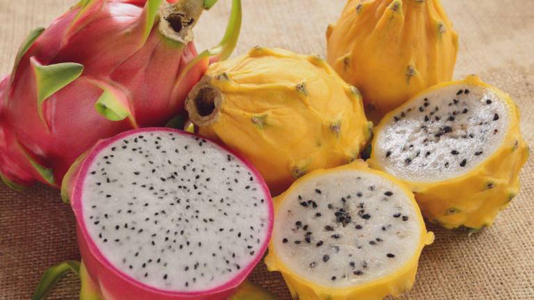 Pitahaya ecuatoriana ingresa a China