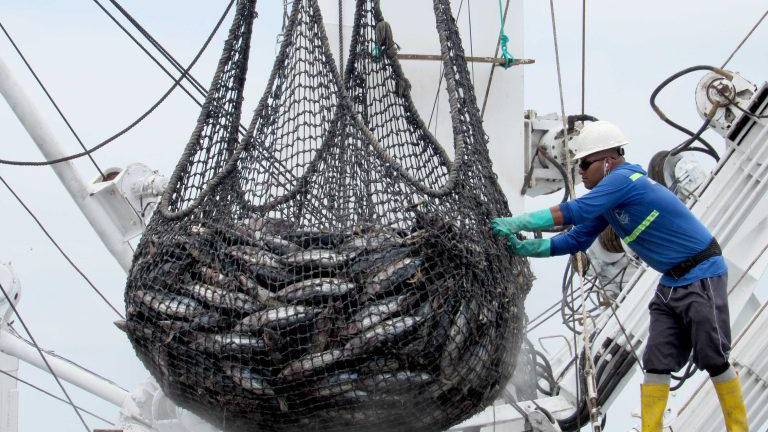 Ecuador encabeza Comisión Interamericana del Atún Tropical