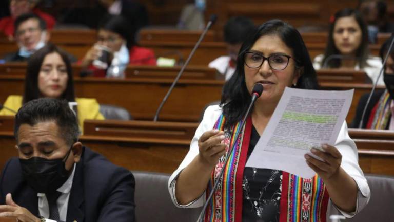 La ministra de la Mujer de Perú opina que el enfoque de género “hace daño” a los niños.