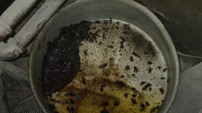 Arcsa clausura dos panaderías en Quito tras denuncias sobre cuchilla en pan