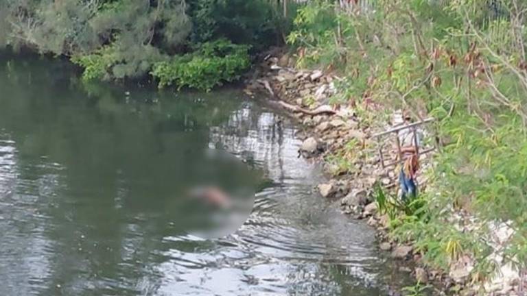 Video capta el aterrador ataque de un cocodrilo a una mujer en una laguna