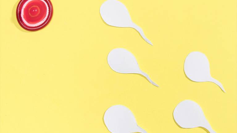 Estudio señala que para 2045 los hombres podrían quedarse sin espermatozoides