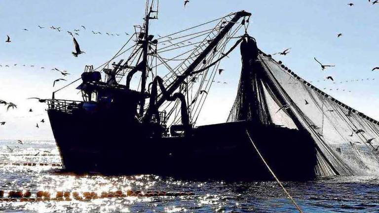 La Comisión Interamericana reduce de 72 a 64 días la veda de pesca del atún tropical