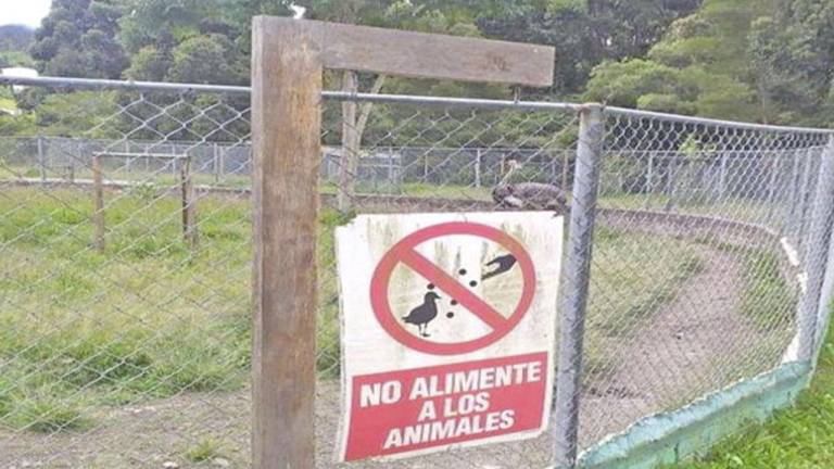 ¿Qué se sabe sobre la muerte y desaparición de animales en el zoológico de Loja?