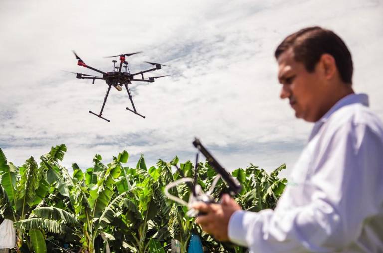 $!La agricultura de precisión, la inteligencia artificial, los drones y la biotecnología pueden ayudar a los agricultores ante los cambios climáticos.