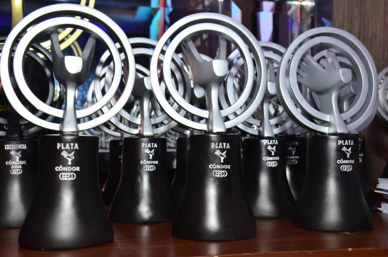 $!Imagen del Cóndor de plata.