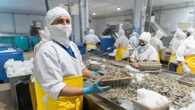 Ecuador exportó USD 20.151 millones en productos no petroleros hasta agosto: un 5,2 % más que en 2025