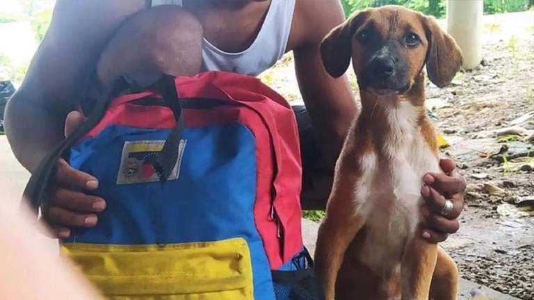 La travesía de Albert y su perrita ‘cholita’: caminarona pie 1.000 km hasta Venezuela