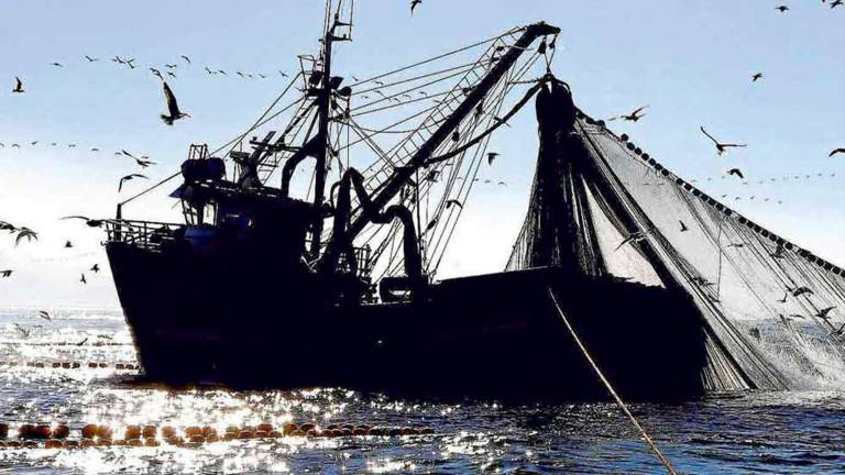 El sector pesquero ecuatoriano estará listo en mayo para salir de la tarjeta amarilla de la Unión Europea