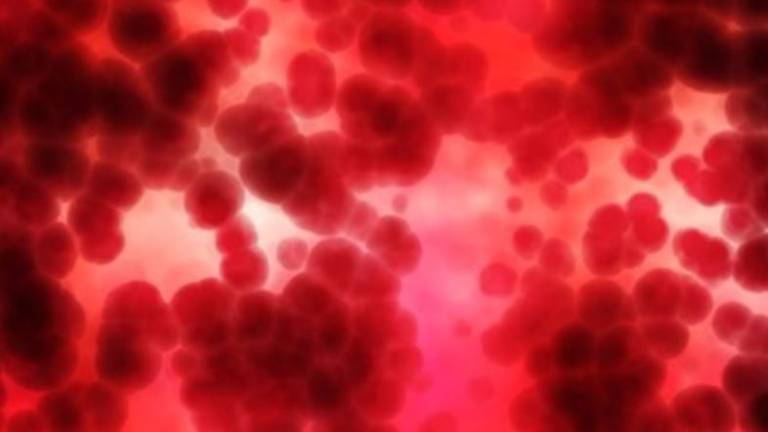 Una molécula mejora la calidad de vida de las personas con hemofilia: descubra cómo detectar esta enfermedad a tiempo