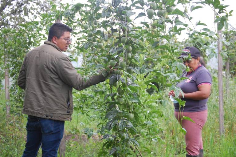 $!La Asociación de Agroexportadores del Ecuador está conformada por 17 productores.
