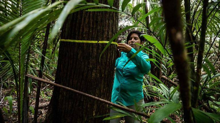 Ecuador recibirá 30 millones de dólares para proyectos de conservación del ambiente