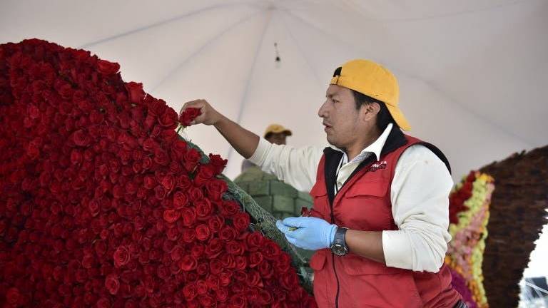 Miles de rosas darán la bienvenida al papa Francisco en Quito