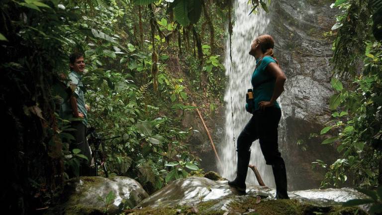 Mashpi Lodge, hotel ecuatoriano entre los 24 selectos del mundo por National Geographic