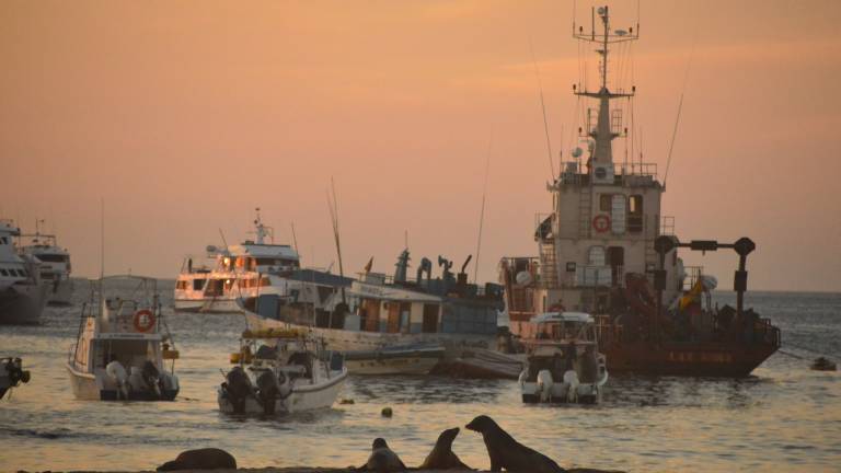 Autoridades y activistas piden control de pesca cerca de Galápagos