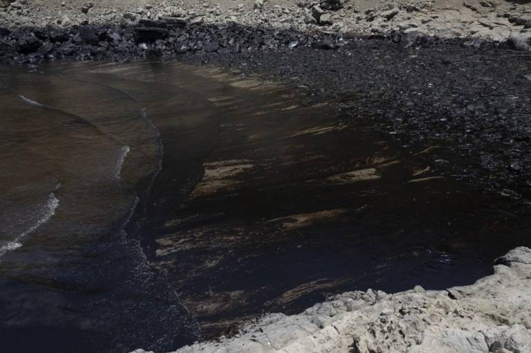 $!Playas y animales afectados por derrame de petróleo.