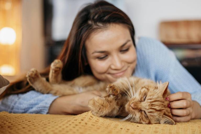 $!Tutora cuidando y dandole amor a su gato.