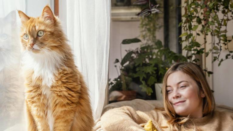 Día Internacional del Gato: 4 comportamientos curiosos que quizás no conocías